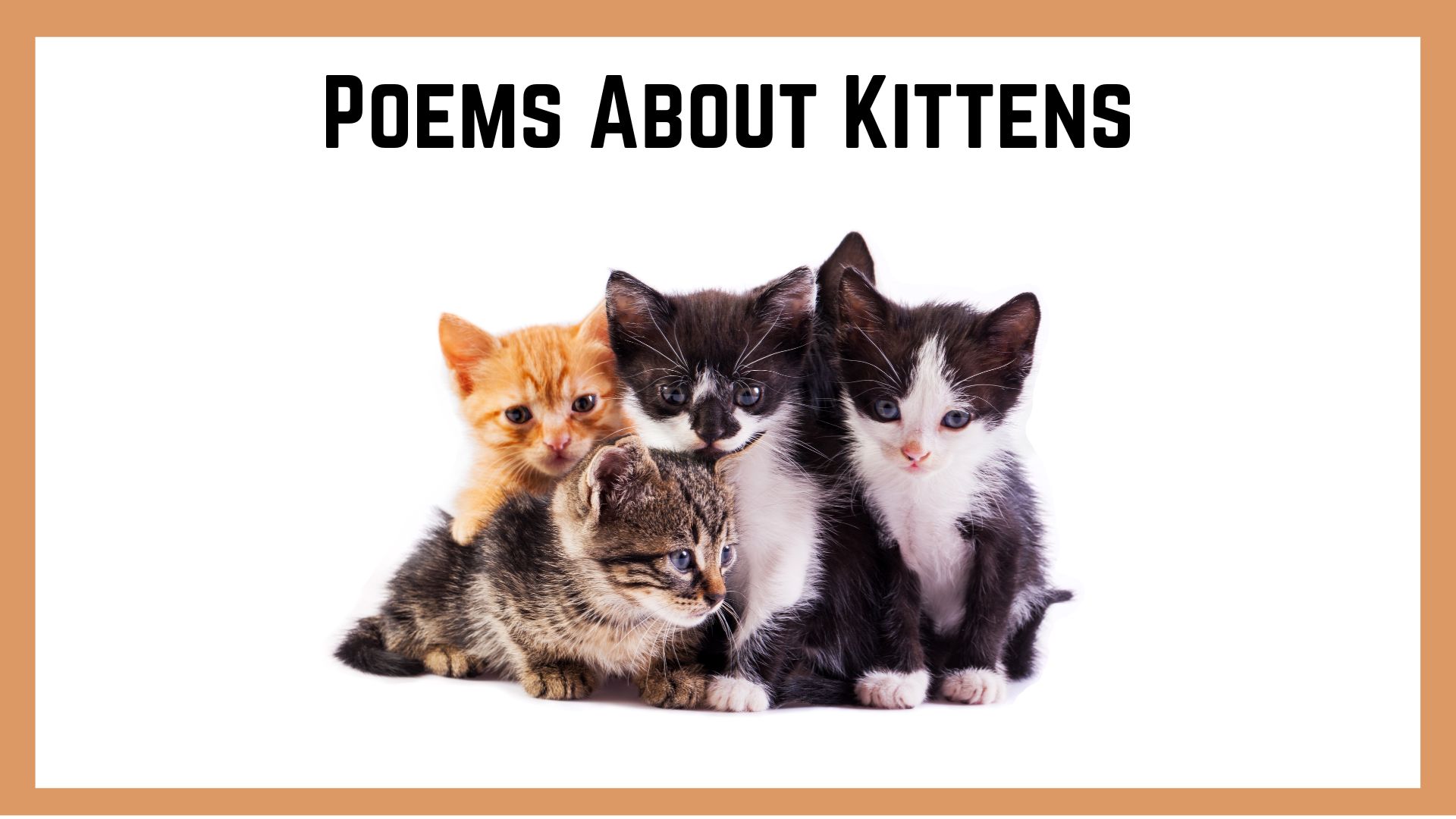Poems About Kittens